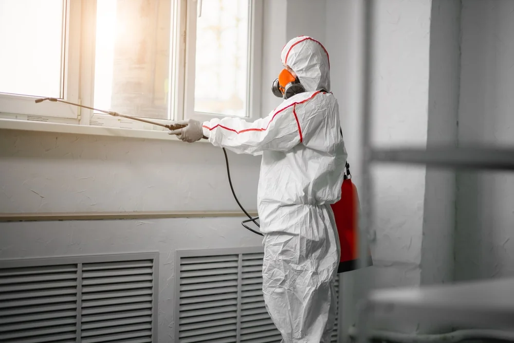 Professional mold remediation services in Margate City, NJ